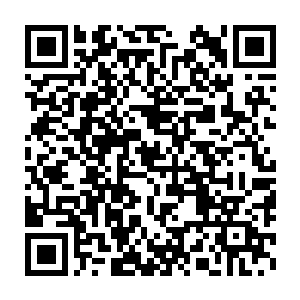 那就是自己的身体在这瞬间爆炸成八亿四千粒渺小得不能再渺小的微尘二维码生成