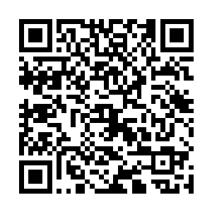 那就说明包老觉得已经没有什么可以再教给钱多多的了二维码生成