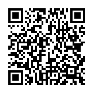 那岂不是说他具备有了问鼎苍茫界霸主的实力和资格了二维码生成