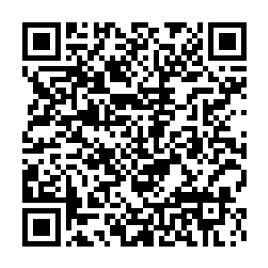 那幻象中一粗一细两股同模样的璀璨光霞直接就没入了两人眉心~二维码生成