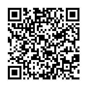 那座小镇就是迈瑞卡留下的资料中提到的无名小镇了二维码生成