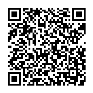 那得到权力的光绪还不在第一时间将自己以及自己底下的党羽给收拾干净了二维码生成