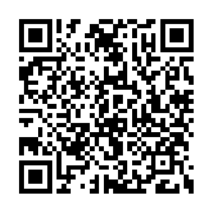 那成了金红色的成熟型流墨墨在所有的血焰敛起二维码生成