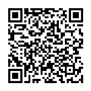 那我们维特斯特根家族和zero会立刻杀掉那名违规的参赛者二维码生成