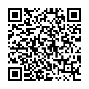 那我们这一批即将毕业和明后年也要面临毕业的学生不是很悲惨二维码生成