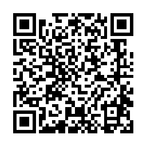 那我们队伍再次同时遇到三支队伍的可能性微乎其微二维码生成
