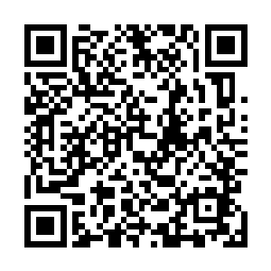 那我是不是可以将辉月宝藏看成是一个真正的死亡之地呢二维码生成
