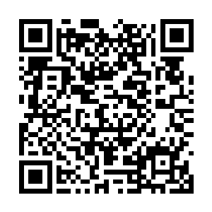 那摸样正是他们机甲师最害怕也最忌惮的一种导弹二维码生成