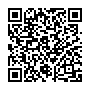 那敌将的战马也被强壮的夜照玉狮子硬生生地撞得往一边倒去二维码生成