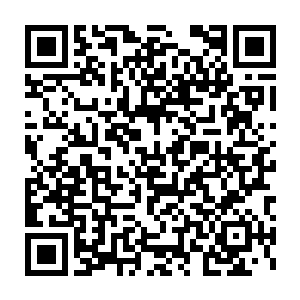 那整座城市的城墙上都垒砌着从厄尔奇达山上开采的白钢石的圣彼得堡二维码生成