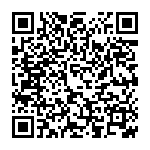 那时的妖帝们到底是为什么会突然集结着入侵主大陆与原生物们抗争二维码生成