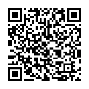 那时的血性难道经过了短短几个月寂静被彻底的消磨殆尽二维码生成
