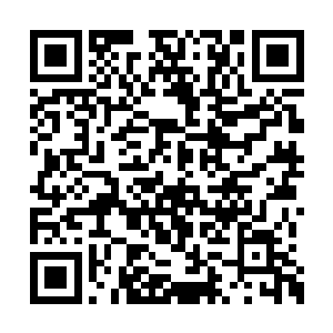 那是一张绝对符合华夏民族最正统的审美观的脸二维码生成