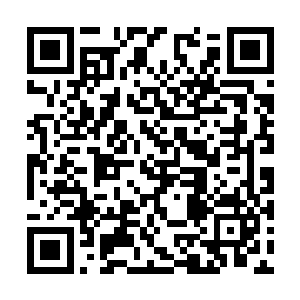 那是这片果林的主人用太阳能发电板积攒下的电瓶二维码生成