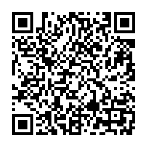 那曾经让她迷恋的无法自拔的眼睛现在却仿佛只要看一眼都会做噩梦一般的可怕二维码生成