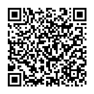 那月精轮风暴如同一条巨龙一般迎向了星霸轰击而来的月精轮和月精轮二维码生成