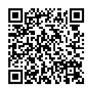 那条被放过血的伤腿现在已经变成用石膏固定住二维码生成