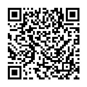 那杨风说不定就有可能会多炼制几颗适合他们的丹药二维码生成