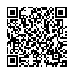 那树枝树叶交织而成的大网也在阿瑞斯的全力一击之下轰然爆开二维码生成