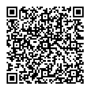 那正被他骂得狗血领头的赫然就是他作为依仗的臂膀大将颜良还有一直颇为受他重用的外甥高干二维码生成