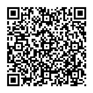 那现在要怎么办 听说小家伙 已经打算和伊莎贝拉结婚 并且继承紫荆花王爵头衔 二维码生成