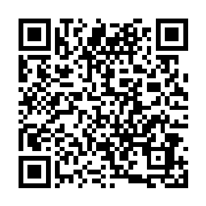 那琉璃枝叶跟金色雷电便这么重重的撞击在了一起二维码生成