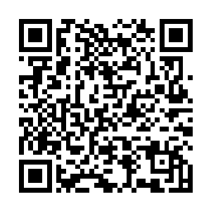 那相互追逐的野兽最终形成了无可遏制席卷一切的兽潮二维码生成