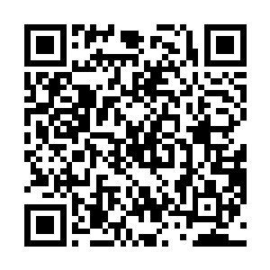 那碎裂成无数块的肉块开始向着同一个位置滚动了起来二维码生成