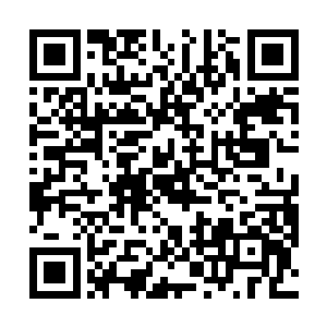 那禁卫头子已经感受到了自己的力量给全部封锁的可怕二维码生成