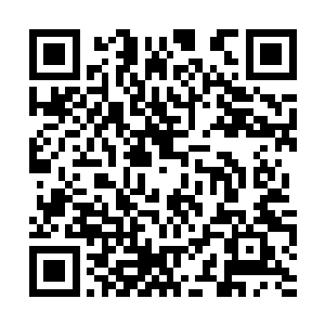 那种痛苦和绝望难过的表情又是那么真切的存在着二维码生成