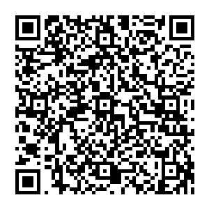 那秘折上面是通天帝国宰相和国主等人筹划着要不惜一切代价从张铁和太夏获得烛油制造方法的决议二维码生成