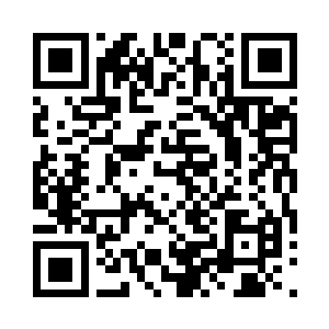 那符兽宝的价格攀升到了一百万玉花石了二维码生成