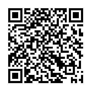 那系统为什么不在其他剧本里用这种方式来剿杀衍生者呢二维码生成