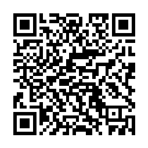 那细细的蛛丝便迅速破开了大树表面那层粗厚的树皮二维码生成