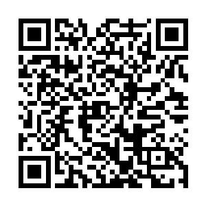 那缠绕在他身上的如同金龙一样的纹身开始游动了起来二维码生成