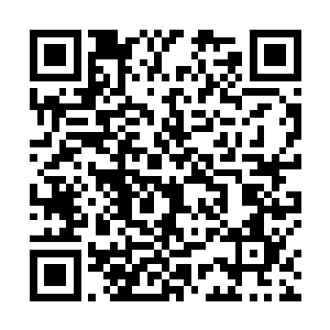 那群海盗的船上肯定有着针对远程信号的遮断干扰装置二维码生成