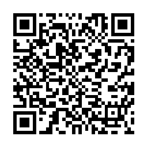 那艘最大的也是最后的一条菊花战船上的史家众人苦不堪言二维码生成