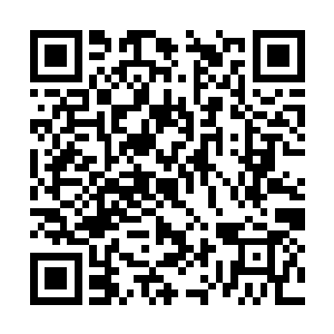 那血红的苍龙剑几乎是完全插在了龙蟒的脊骨之中二维码生成