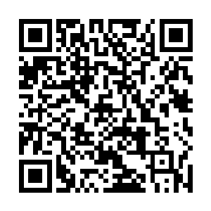 那表情似乎恨不得冲上去狠狠地从他身上咬下几口肉来二维码生成