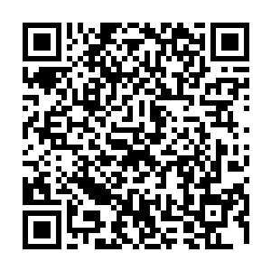 那被困在黑色龙卷风中央的蟾蜍巨妖瞬间便被这些风刃和黑箭轰击得遍体鳞伤二维码生成