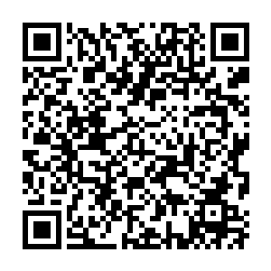 那被接引到琉璃菩提树中的善念和恶念也开始诡异的的融合了起来二维码生成