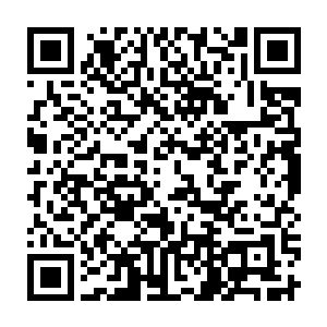 那西门孤烟和希望两个人在开启地镇关上古遗迹之前便已经是大乘后期的境界二维码生成