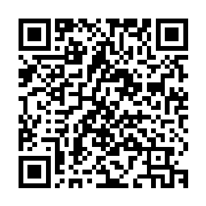 那诡异又不失谐趣的旋律在这空旷的走廊中听起来显得甚是扎耳二维码生成