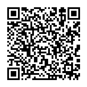 那足以让任何古武门派忌惮万分的三十多名后天后期的武者和b级基因战士二维码生成