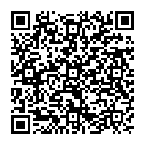 那边害的白硫亦受伤还让他被自己的父亲训斥而心虚不已开始左右乱瞄的白硫决的个正着二维码生成