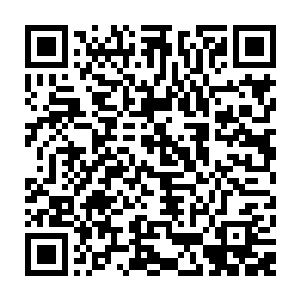 那边状态极不稳定的梵天就发出了一声惨叫……然后整个人就栽倒了下去二维码生成