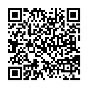 那这家伙是如何保证大管事一定会来检查自己的药园呢二维码生成