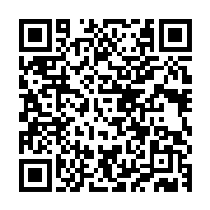 那道散发着璀璨蓝光的能量光柱也在变异螳螂王的头部轰然爆开二维码生成
