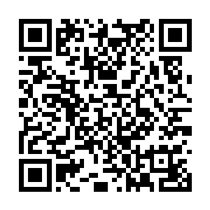 那里是一圈看起来就和这边画风完全不一样的建筑二维码生成