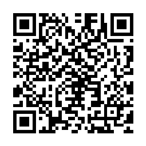 那里的分拣机器人一定可以将他挑出来送回他原本应该去的地方二维码生成